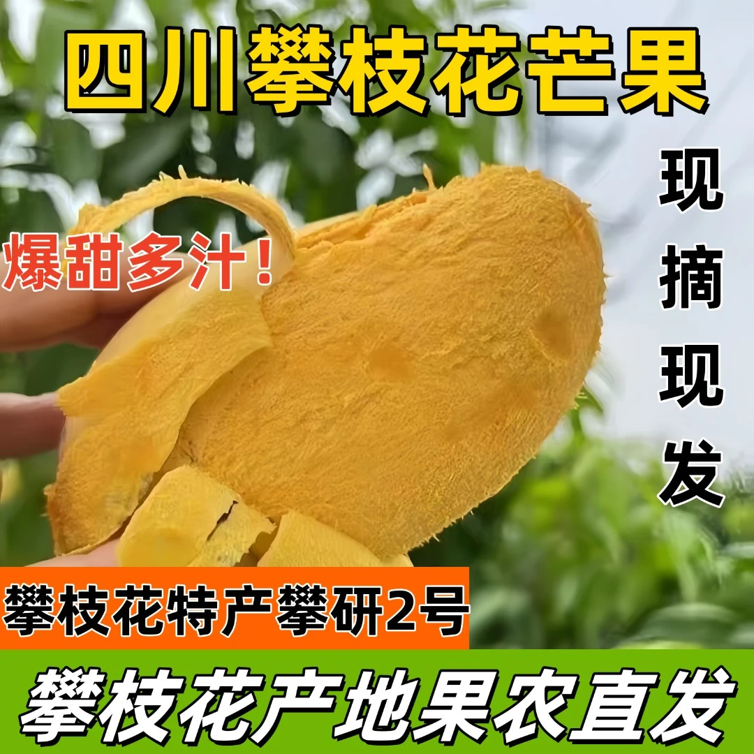 攀研2号芒果新鲜上市攀枝花直发核小肉多似果冻攀研二号芒果