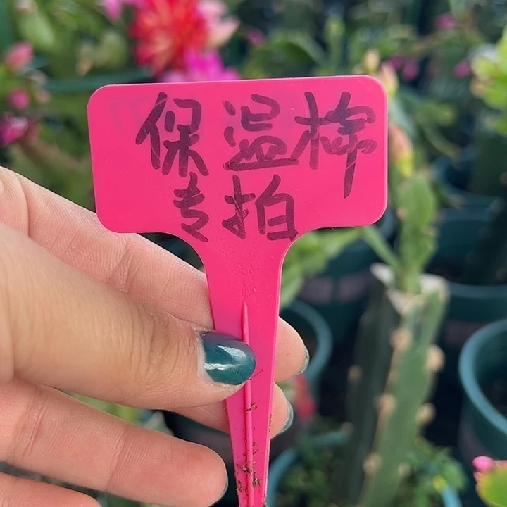 保温棉0000000000