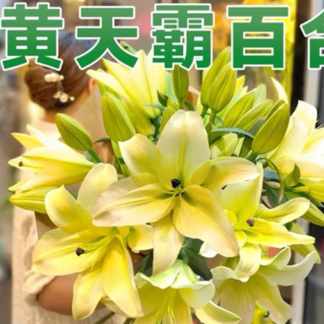 云南直发香水黄天霸香水鲜花鲜切花水养任意三单空运包邮送货上门