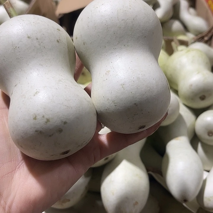 非洲紫檀（红花梨）本****者