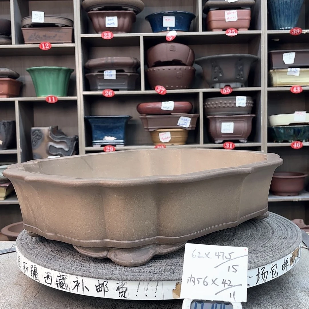 紫砂花盆唯**心紫砂的花也太漂亮