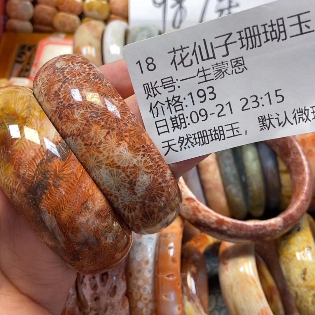 一***恩未镶嵌硅化珊瑚（珊瑚玉）珠宝半成品18