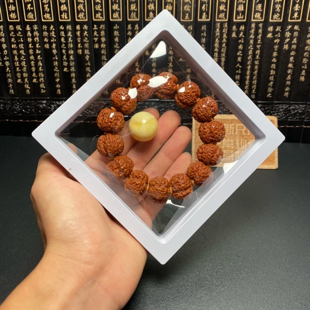 新品，满肉梅花（3号）
