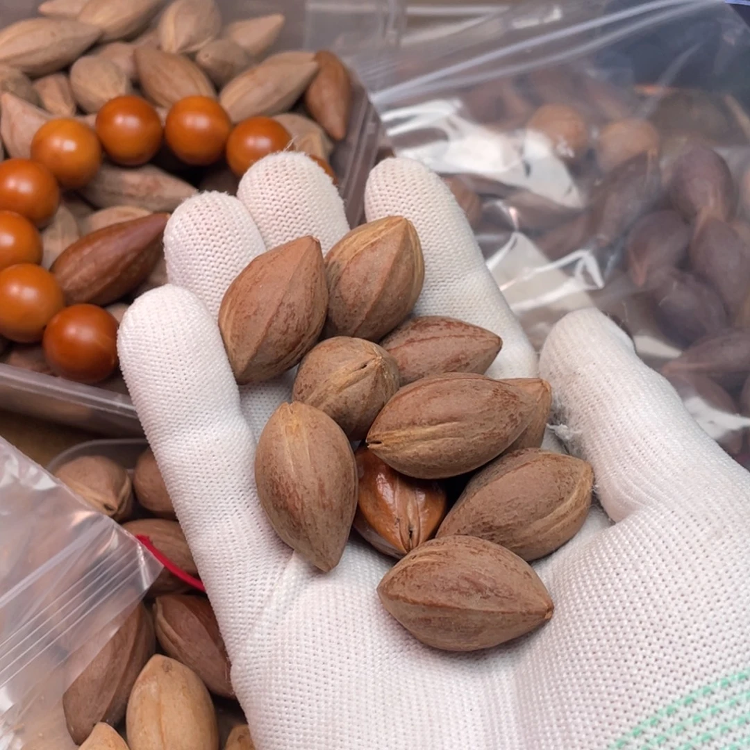 小****橄榄核手串/手链1