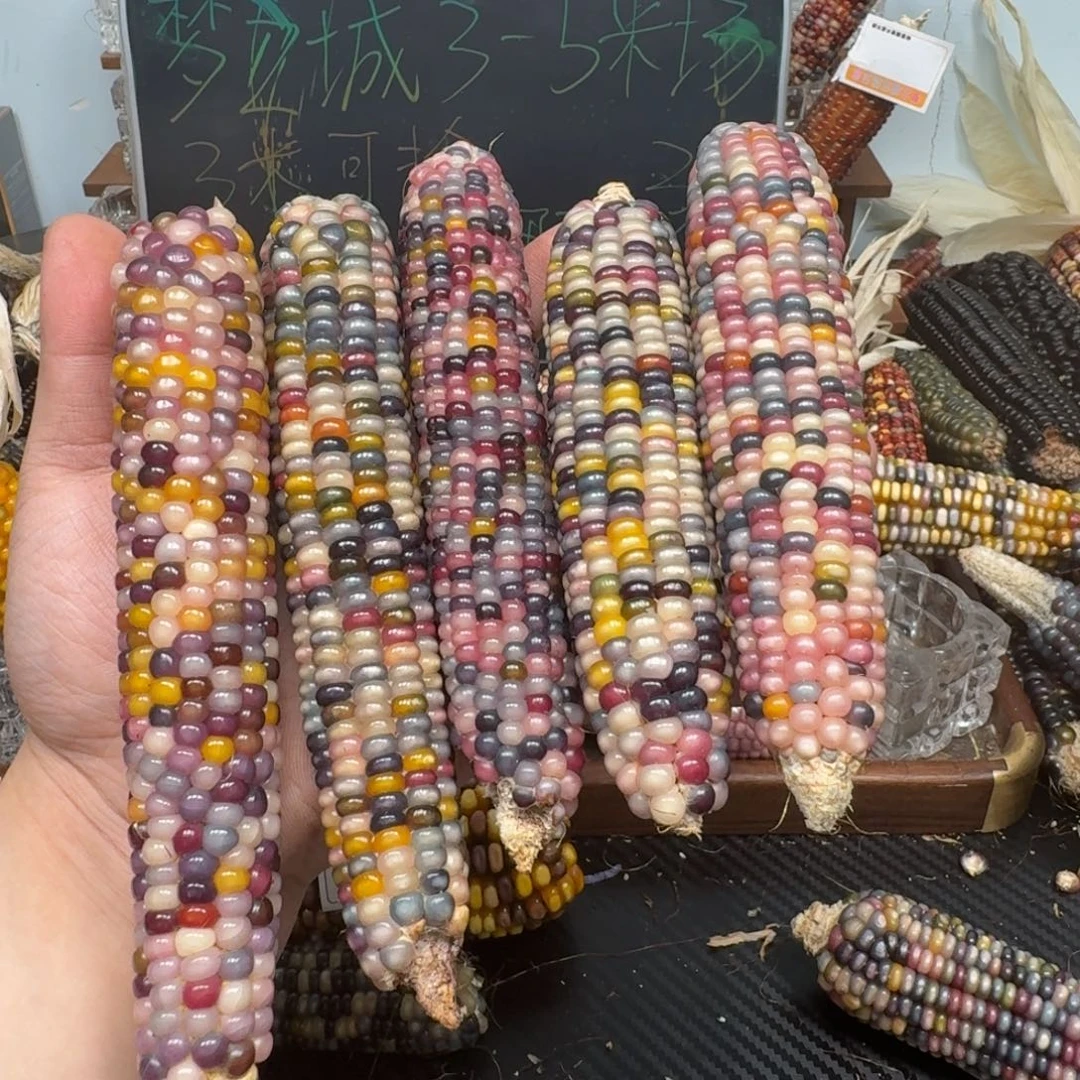 柏香籽/百香籽吊坠用****3