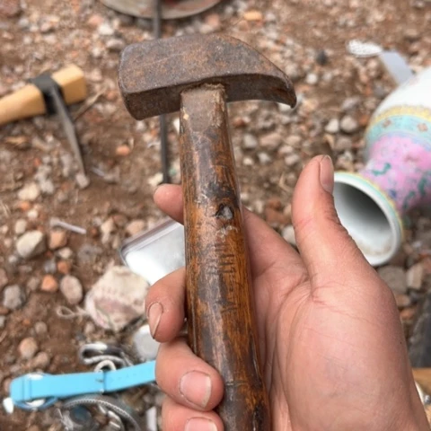 杂色豆（科檀/科特迪瓦檀木）雨*藤