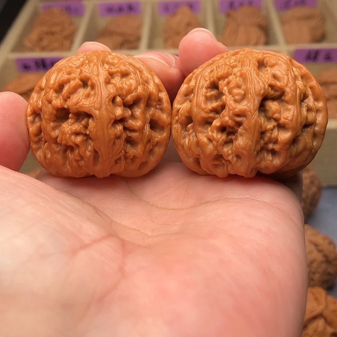 文玩核桃把件平谷大粗筋42（头货精品