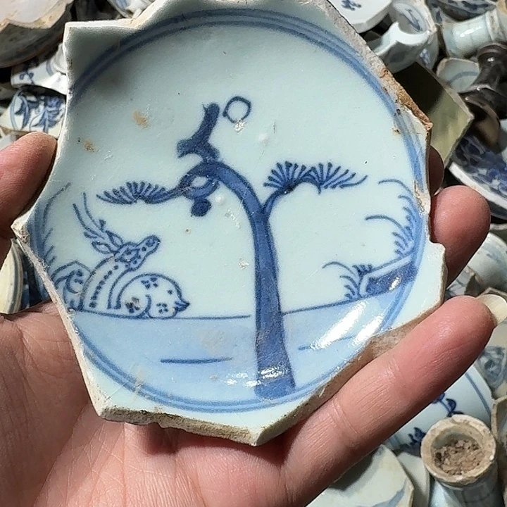 瓷片瓷片标本，顺丰包邮