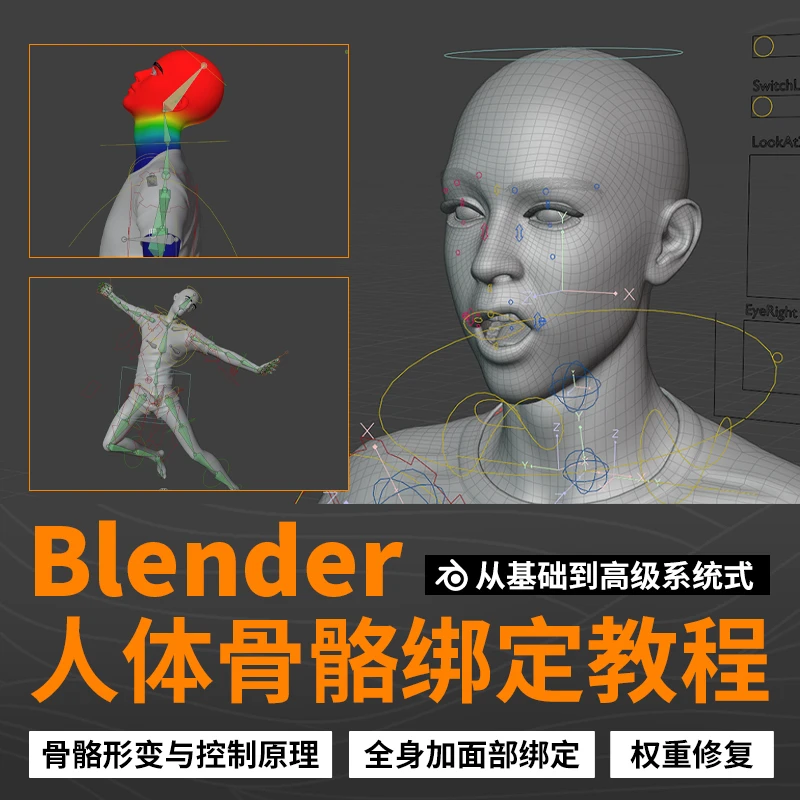 Blender教程人物角色骨骼绑定从基础到高级系统教学视频课程