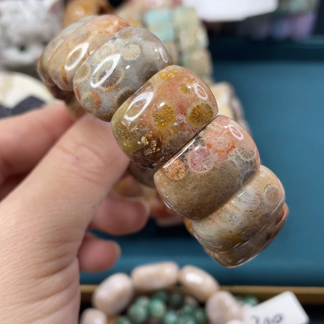 未镶嵌手镯硅化玉