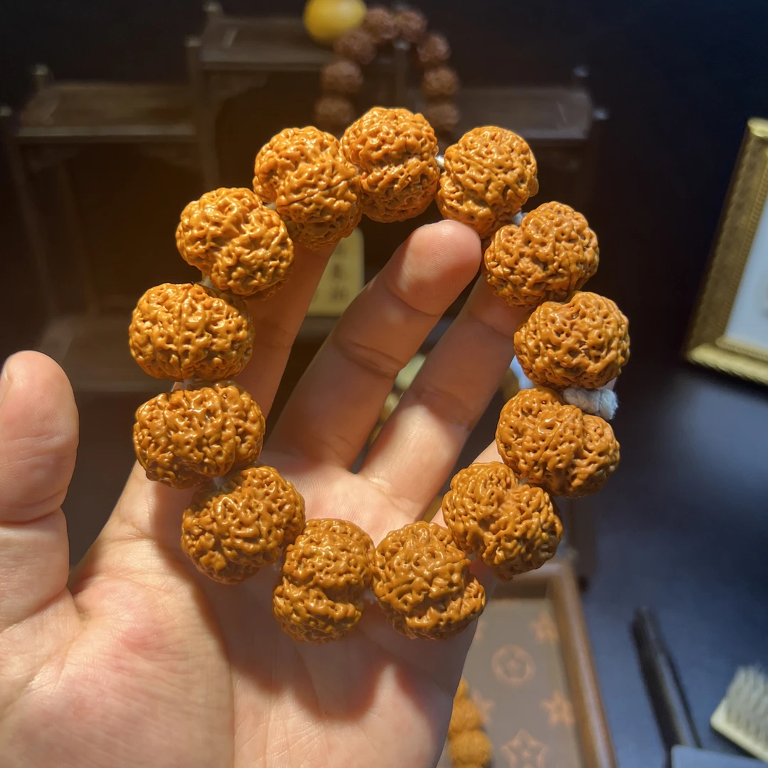 五瓣暖爆肉蜂王25+