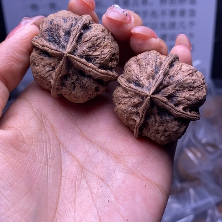 核桃云南野生铁核桃158号37mm