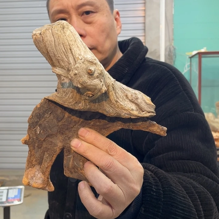 骑****头我们都是好孩子呀