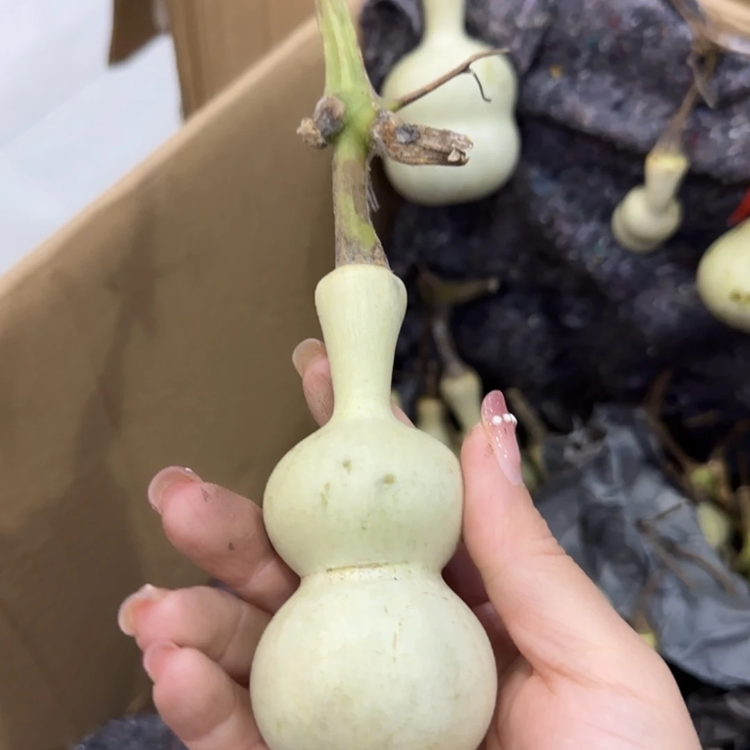 逸***雨葫芦嘎嘎嘎高Vhhhh刚刚好