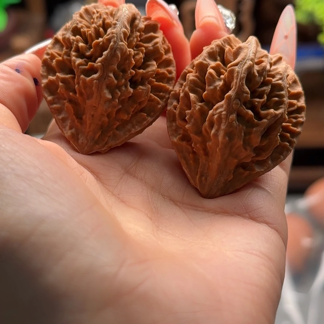 文玩核桃把件楸百核45