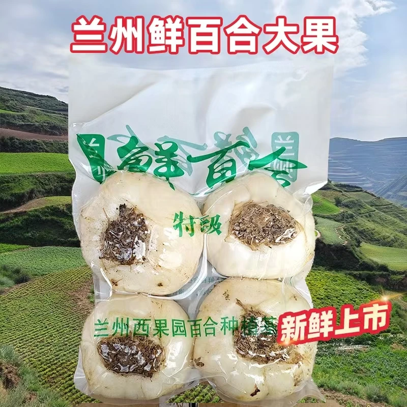 兰州新鲜原生态甜百合产地直发