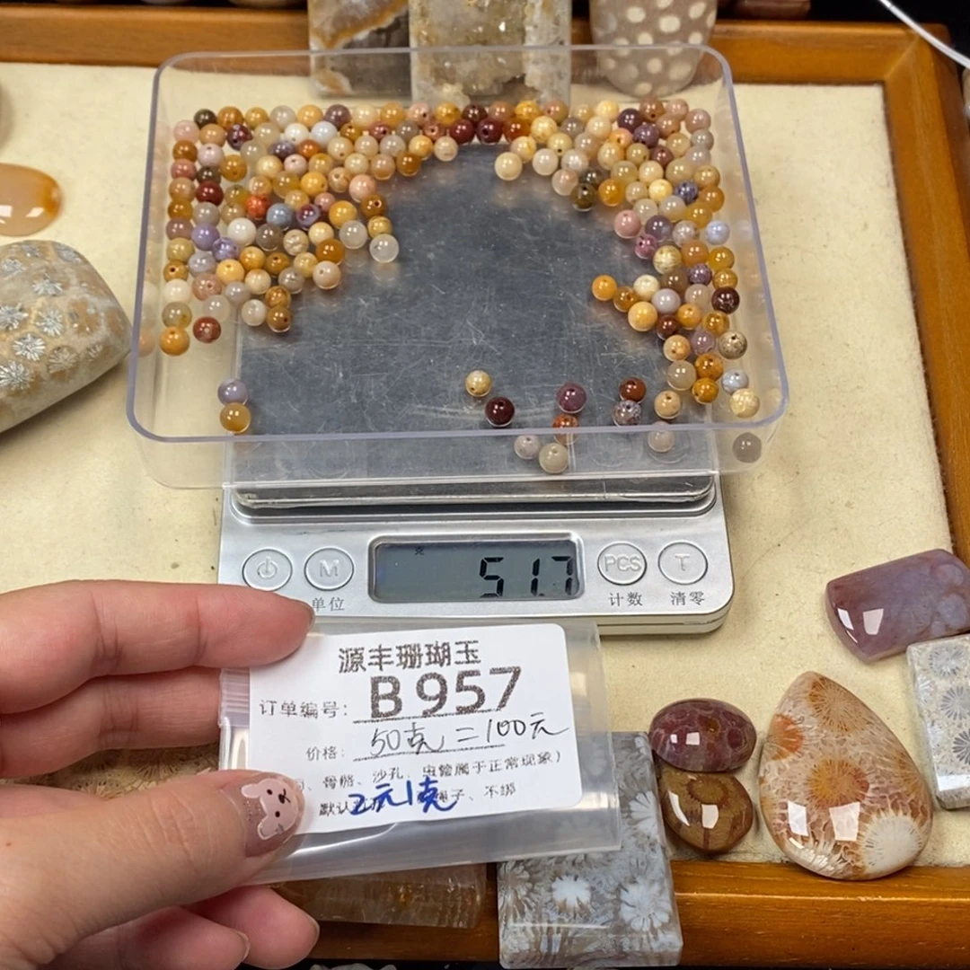 y***z未镶嵌颈饰硅化玉