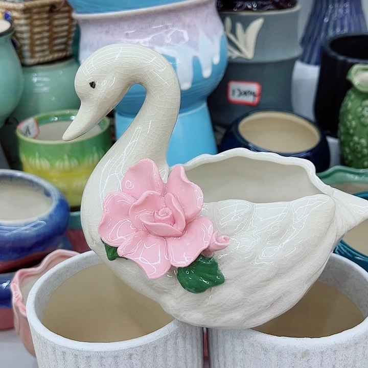 福利花盆9.99包邮