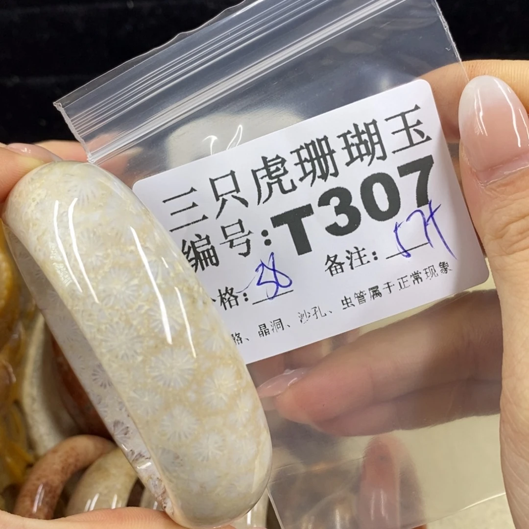 硅化珊瑚（珊瑚玉）1未镶嵌嗨**耶