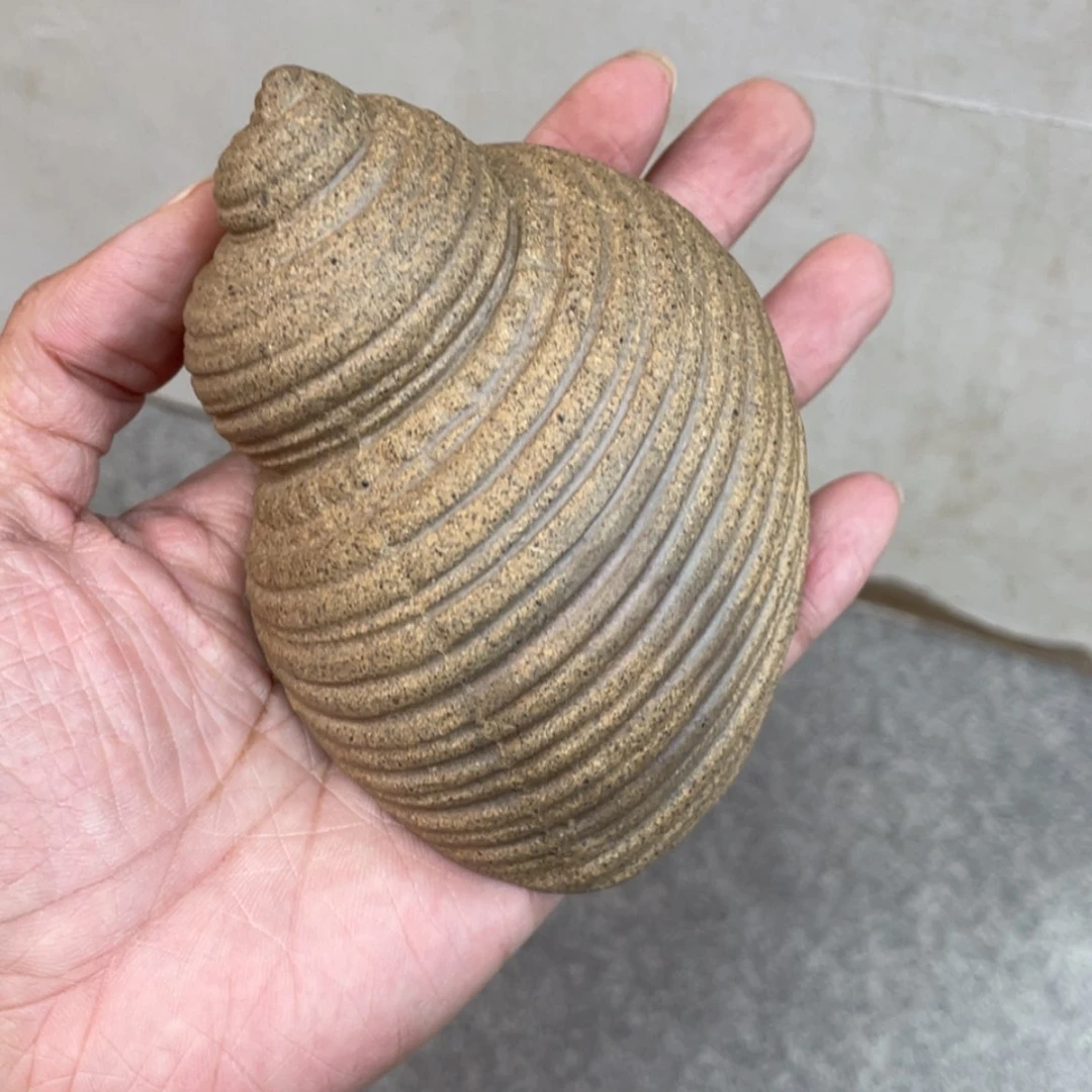 【闪购商品】壶老段烧茶具茶器哦