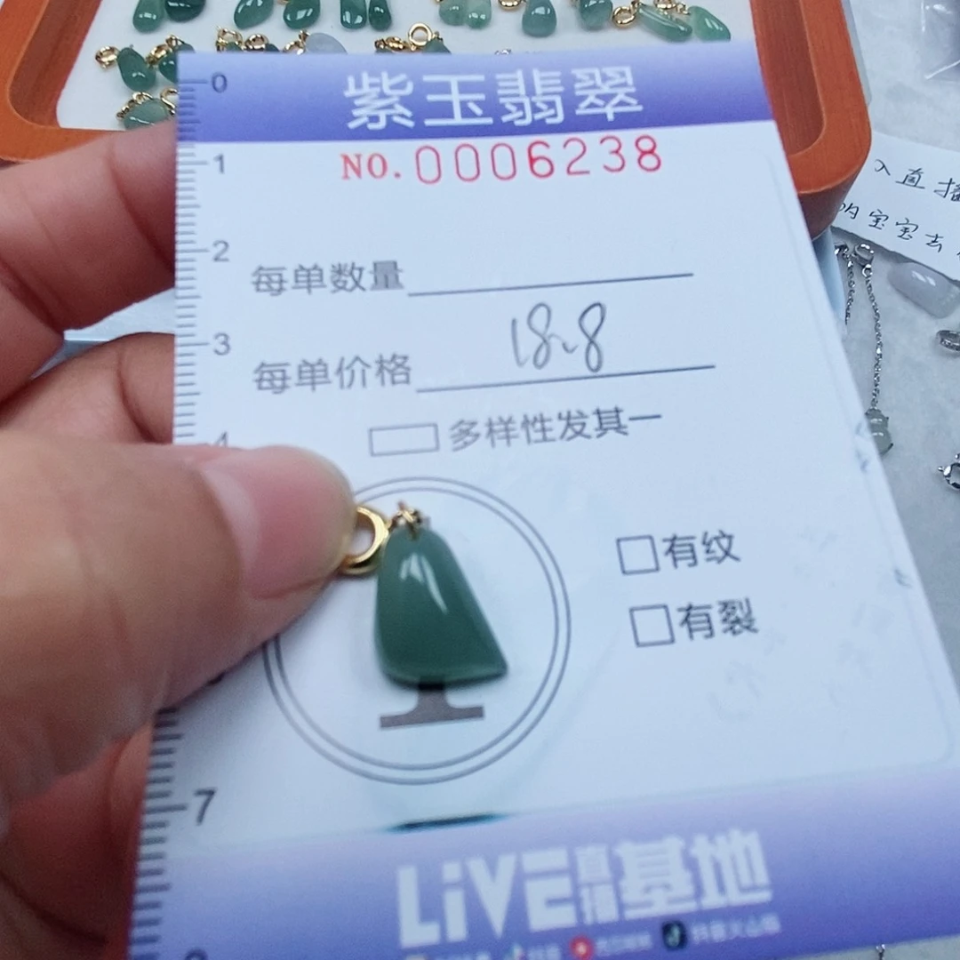 颈饰未镶嵌翡翠冰透随行