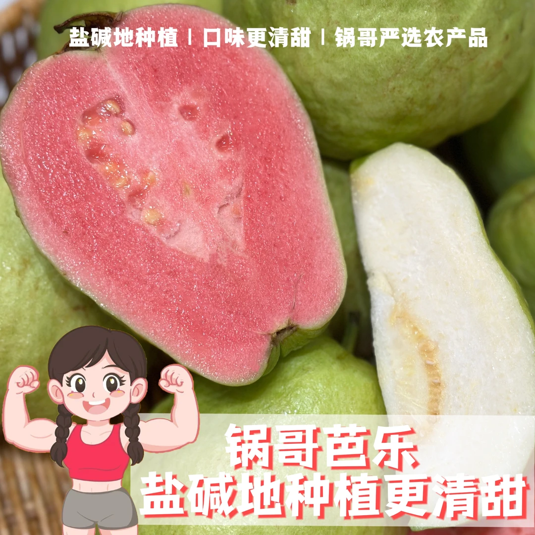锅哥芭乐海边盐碱地更清甜应季低糖水果蔬菜双11必买