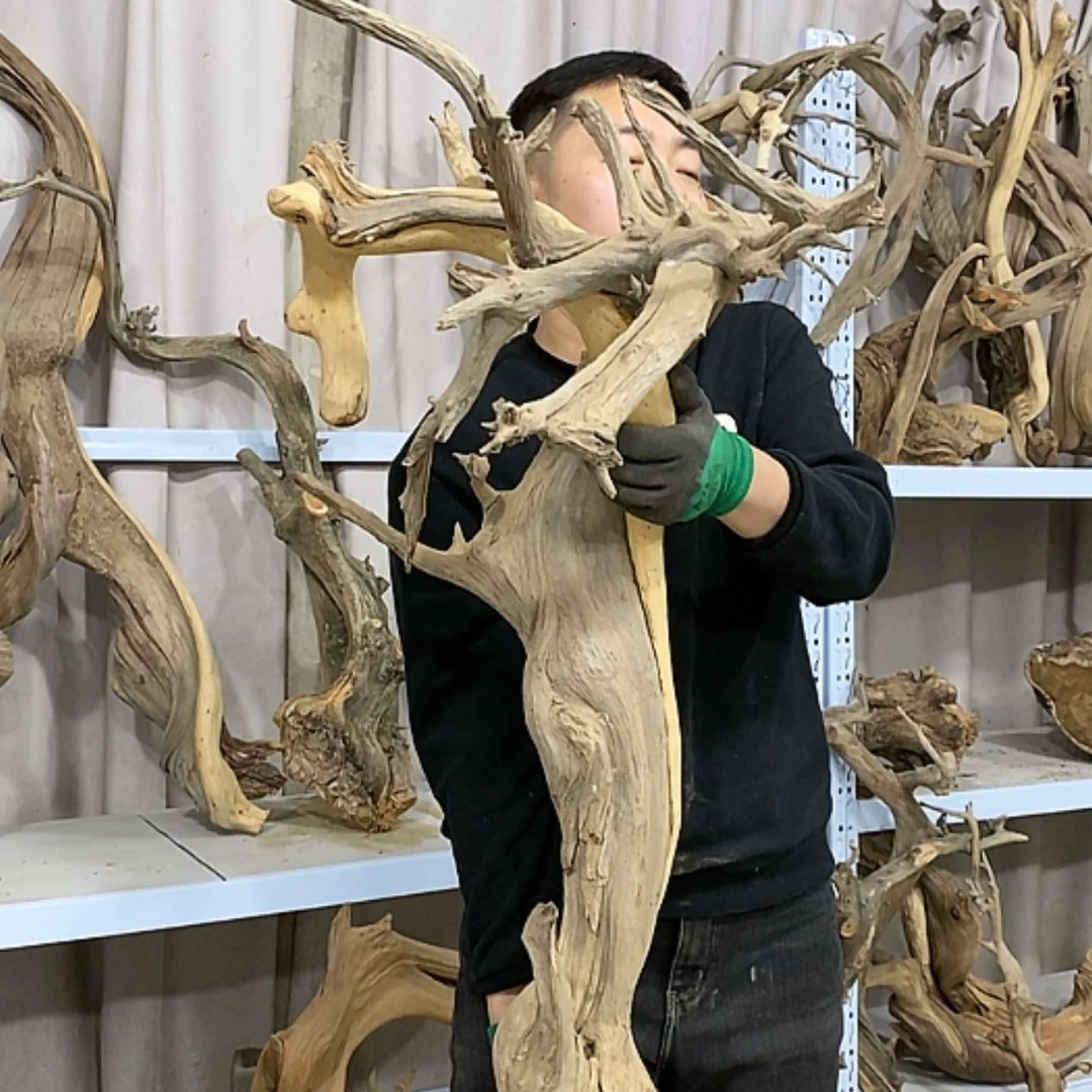 【闪购商品】柏木川****2我们都是好孩子