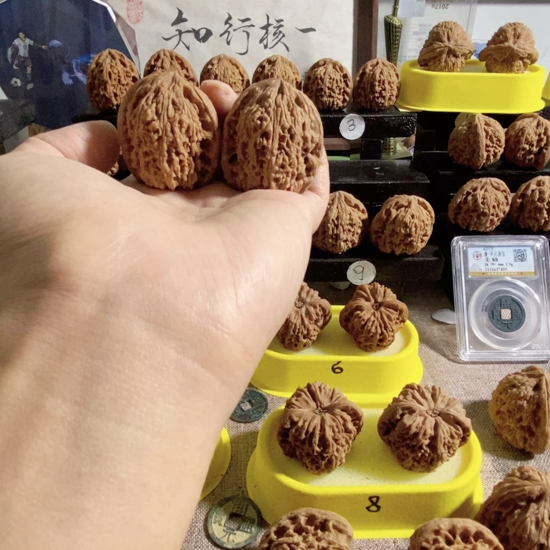 木质类36尺奥迪拉丝溜肩