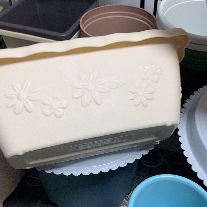 2个370米色菜盆浮雕