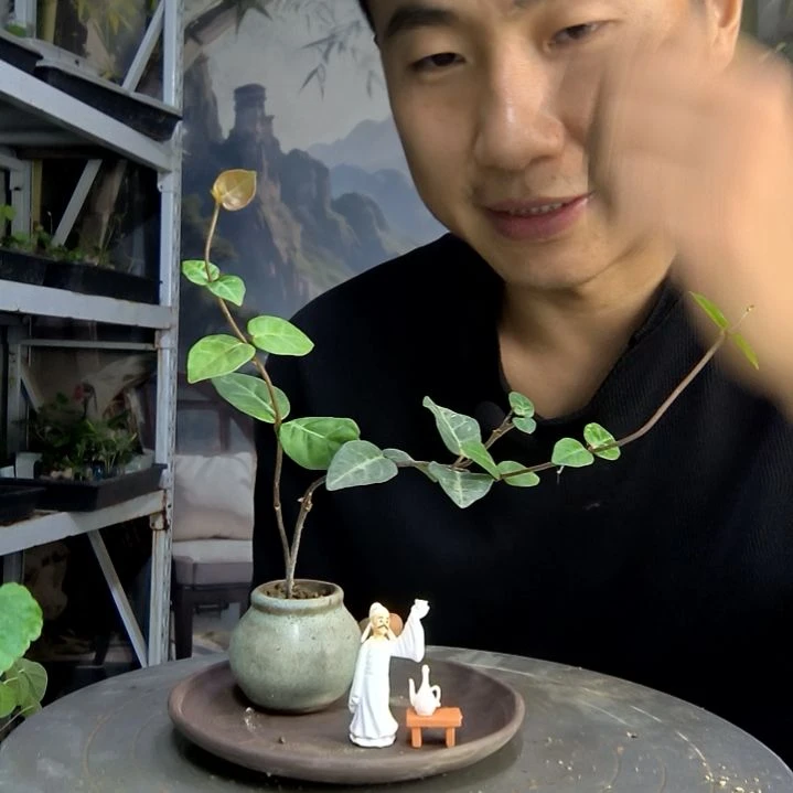 酸**.中青园艺一物一拍414