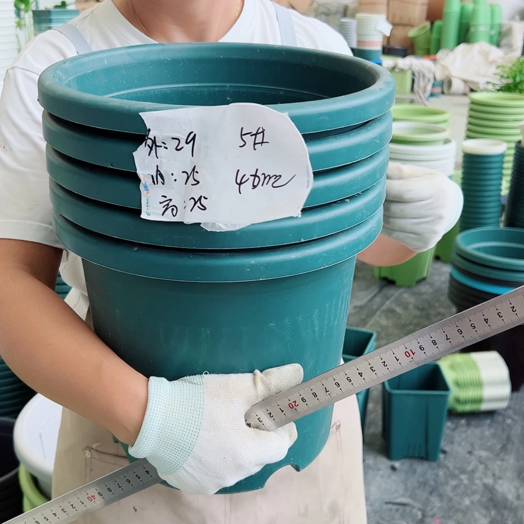四季盆5#墨绿色6个无托