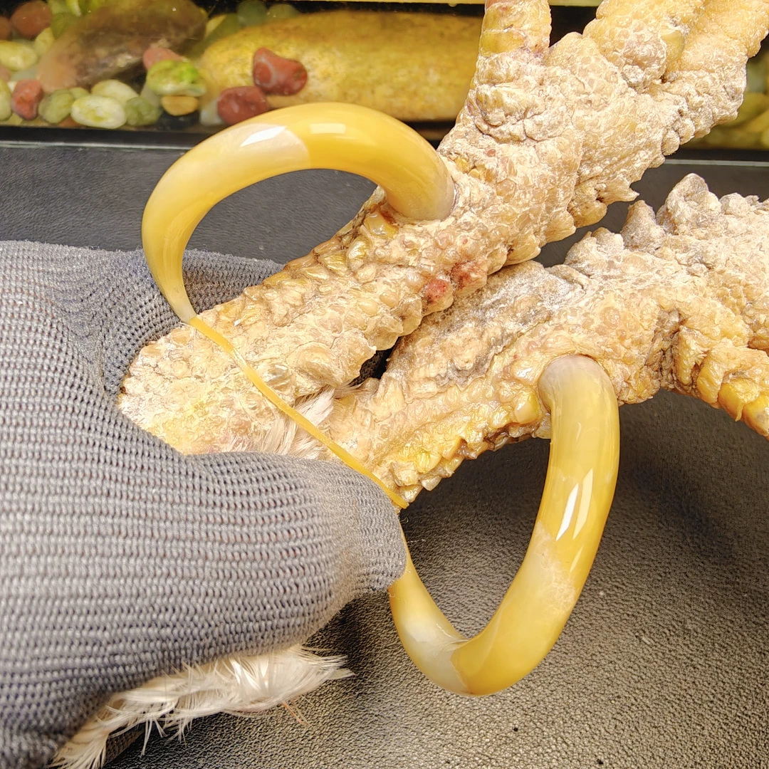 鹏程骨艺鸡爪骨黄色半圆一对