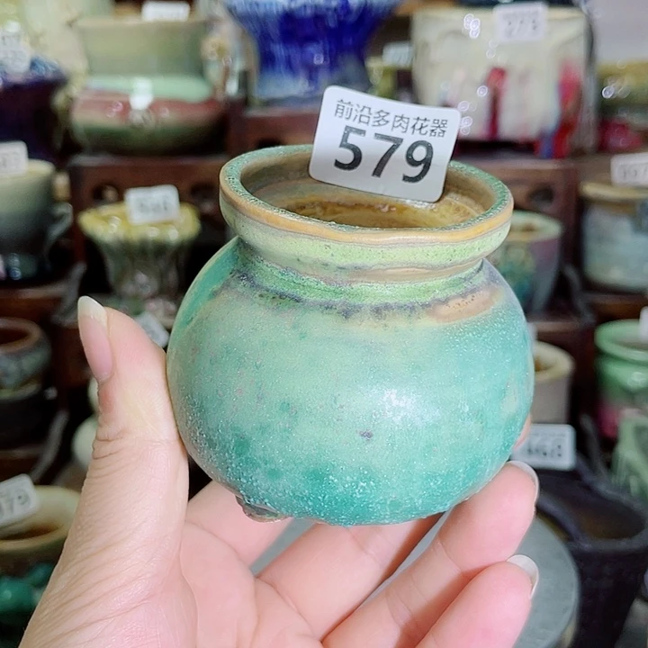 狼盆内口径5高度7