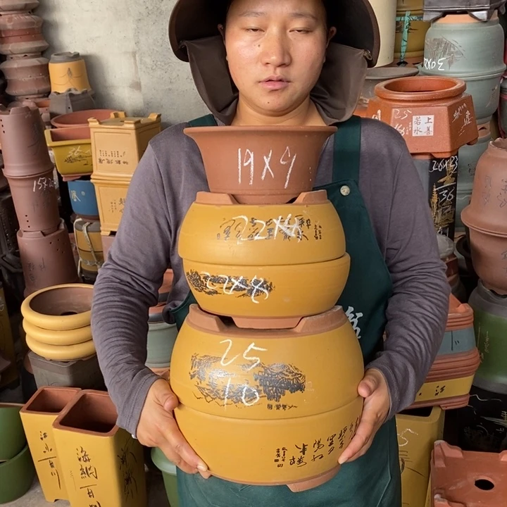 紫砂花盆盆栽花卉苗木种植
