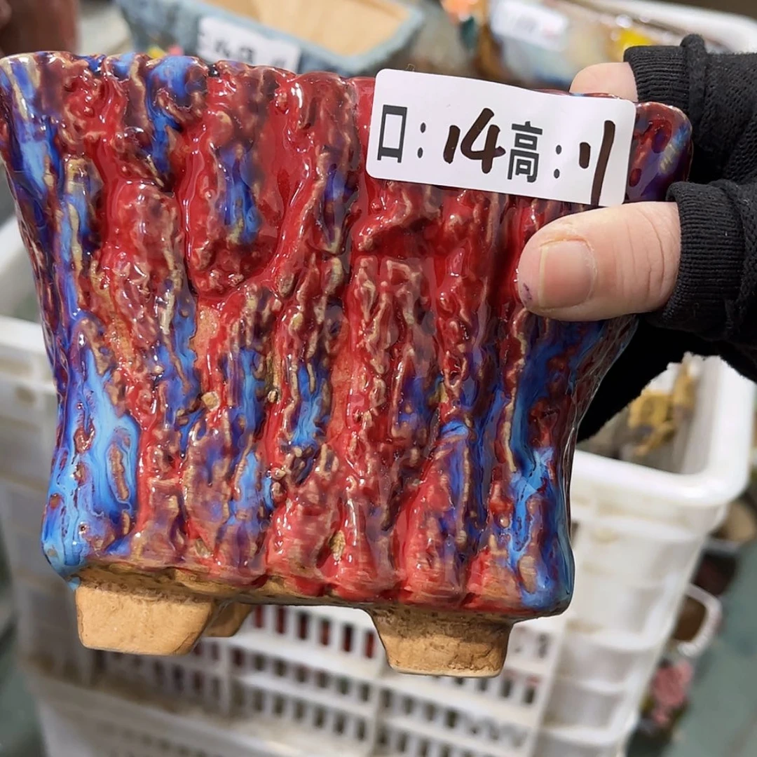 【闪购商品】红陶福利