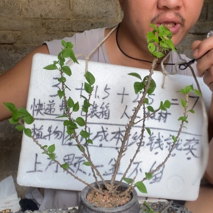 浩*哥退款拉黑一物一拍123