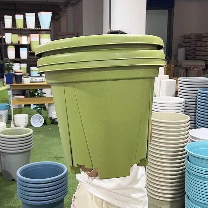 青山401口40高35果绿色3个无托