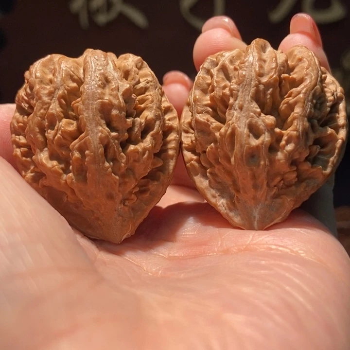 木质类聚核财婉楸145