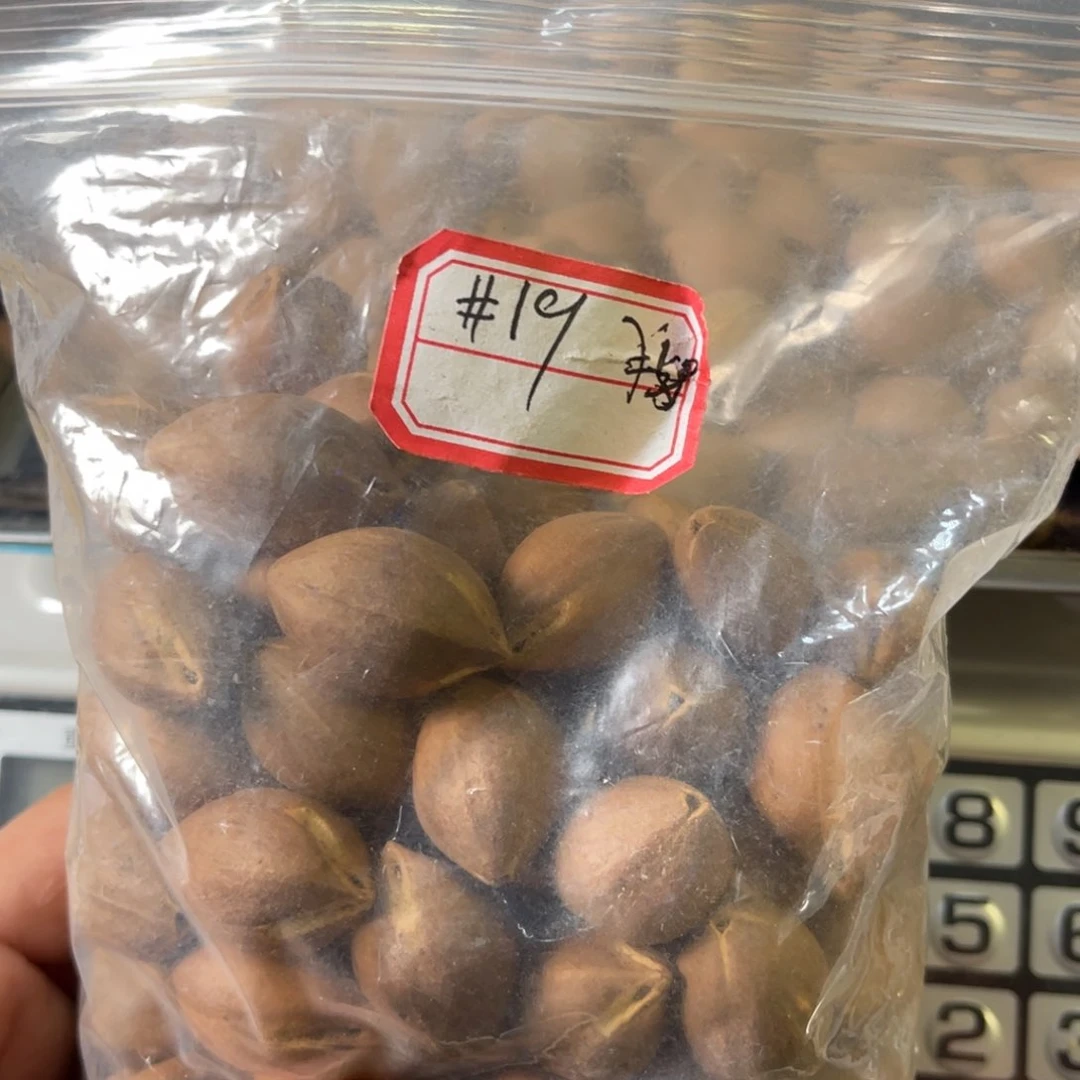 吊坠龙脊菩提哈*镜
