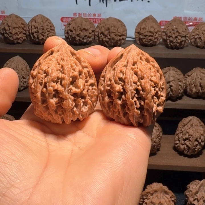 立***刻秦岭野生无名鸡心