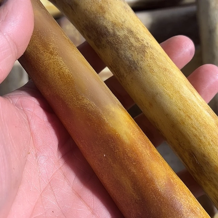 ZX驼骨整根驼骨整根驼骨整根