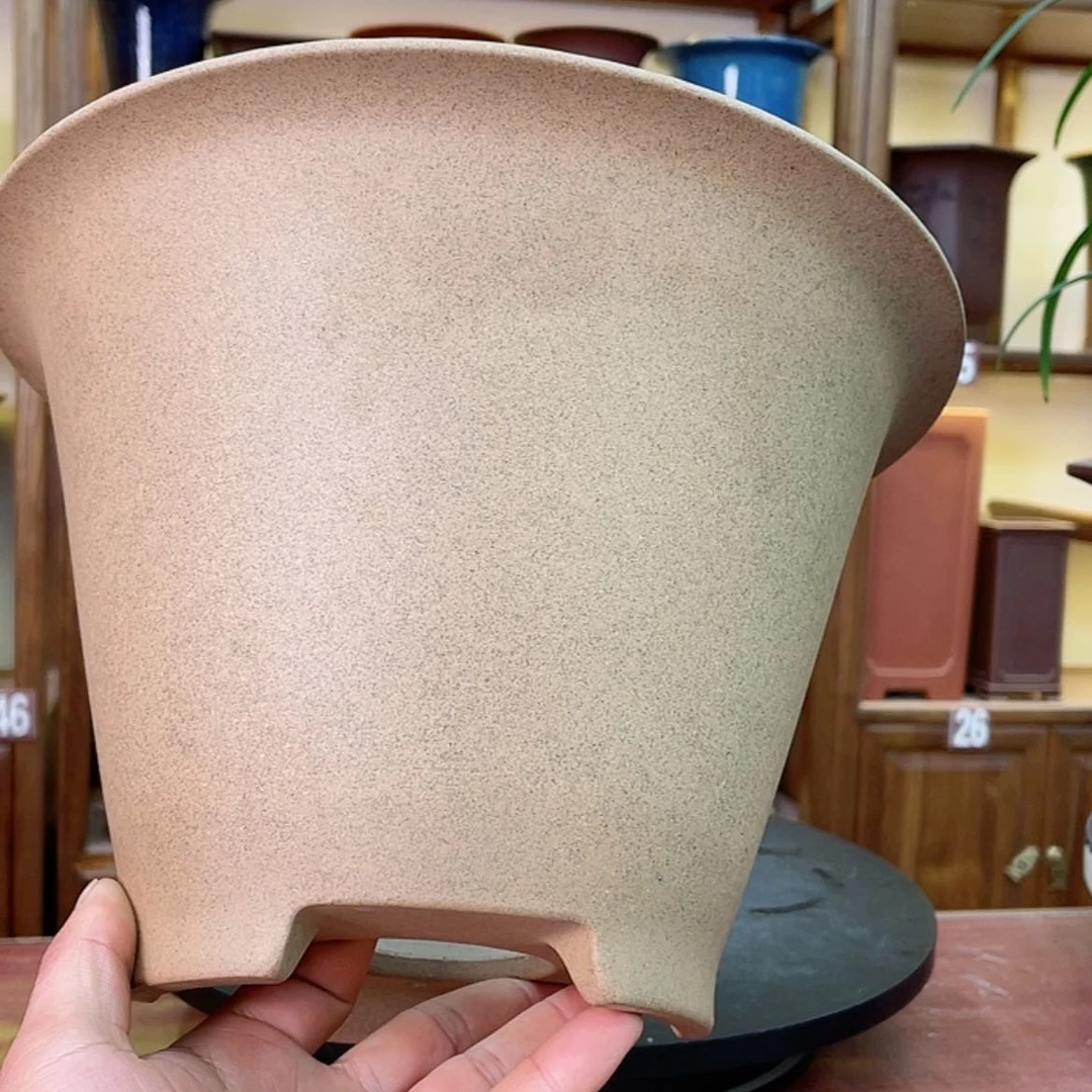 【闪购商品】紫砂花盆兰花555555525588555588