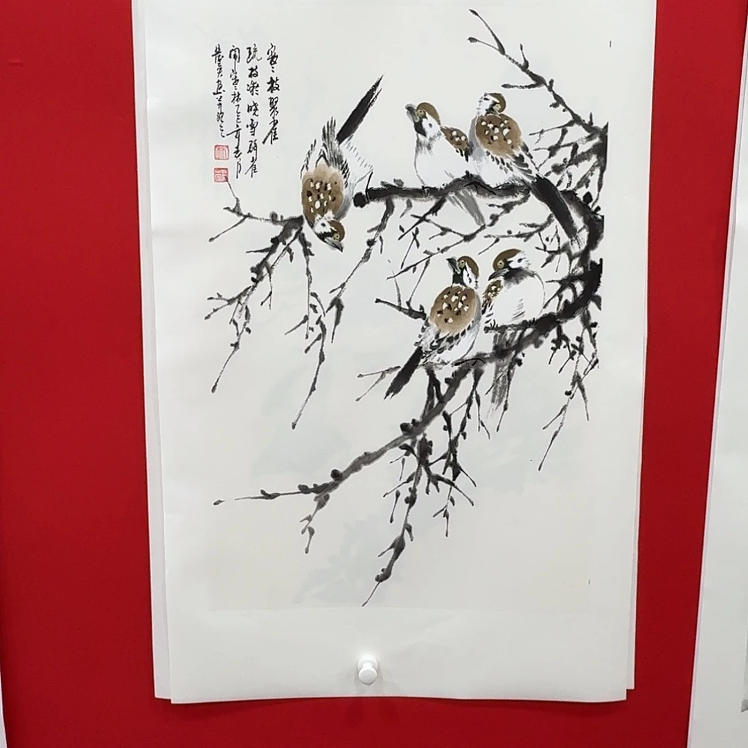 国画新号开播福利多多