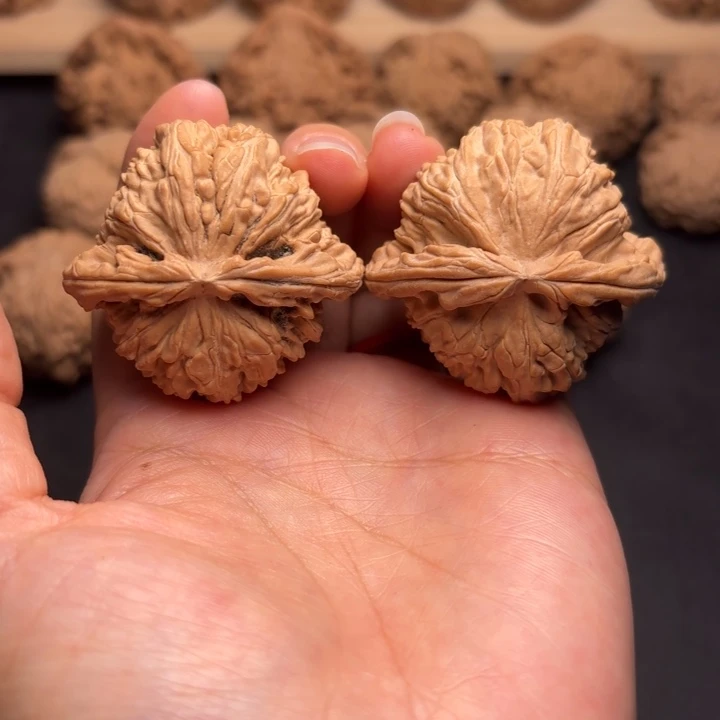 把件文玩核桃43白狮子