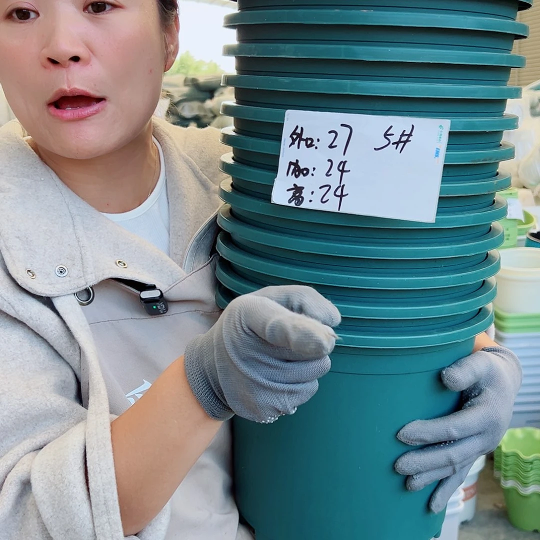 瑕疵5加仑墨绿色10个无托
