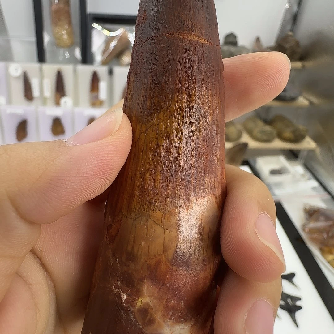 琉璃/树脂/塑料类