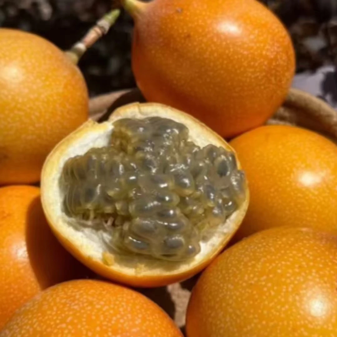 【热情果大果】黄金百香果嫁接稀有热带水果净重500g/800g/1500g