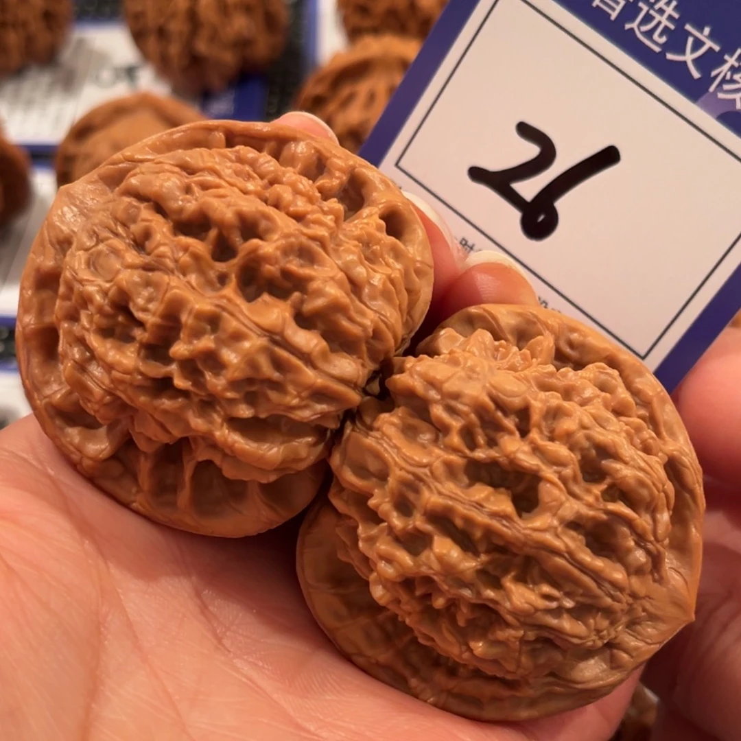 核桃26号4.8尺官帽