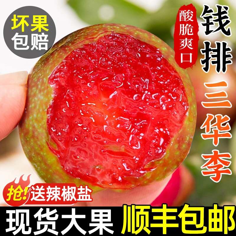 广东茂名红心钱排三华李新鲜李子水果当季樱桃孕妇信宜酸甜芙蓉