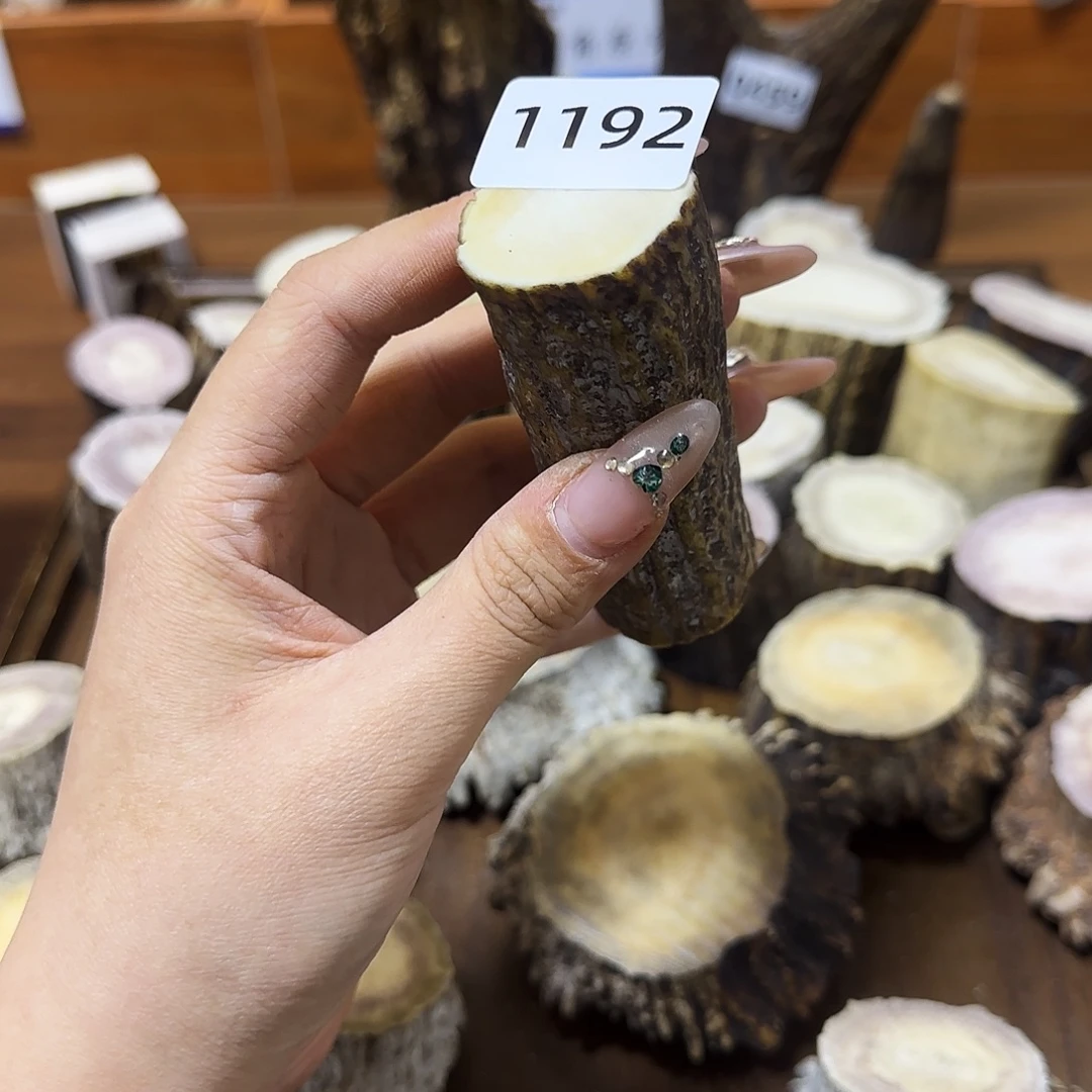 手串/手链鹿骨1192根段